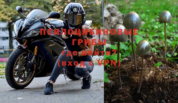 винт Протвино