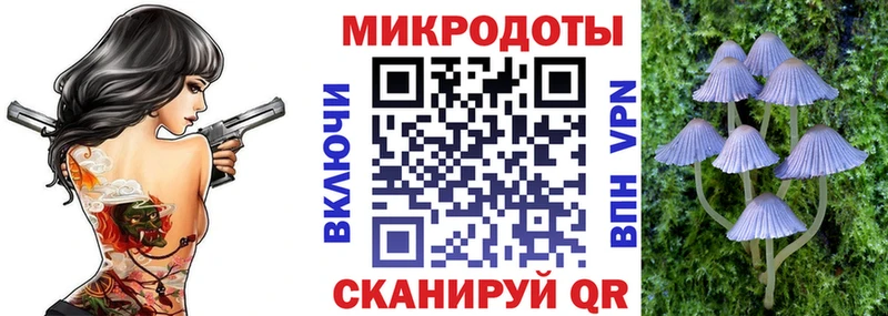 Псилоцибиновые грибы Psilocybine cubensis  Сухиничи 